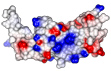 clathrin