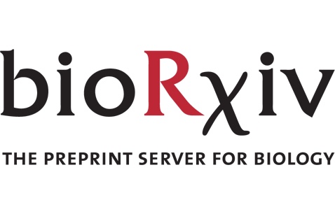 biorxiv