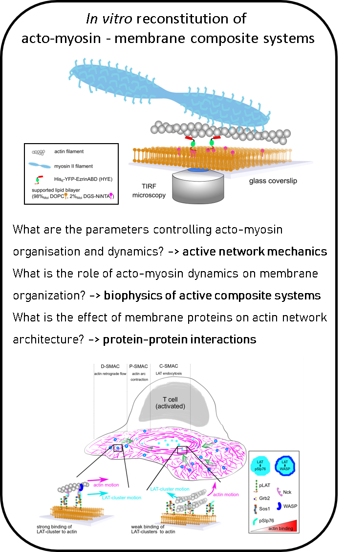 intro2