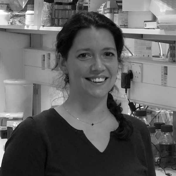 
        MÉGHANE SITTEWELLE
        I joined the team of Prof Steve Royle to study the role of TPD52-like proteins, markers of intracellular nanovesicles (INVs), in membrane trafficking and cell migration.
        Prior to that, I completed my PhD in Pr Anne-Hélène Monsoro-Burq’s lab at Institut Curie in France during which I investigated a non-canonical role of a glycolytic enzyme on cell signalling and cell migration, in both context of human melanoma cells and amphibian neural crest development.
        Before this, I did my undergraduate study in cell biology and development at the University of Paris-Saclay.

        ORCiD: <a href='https://orcid.org/0000-0002-9383-6653'>0000-0002-9383-6653</a>