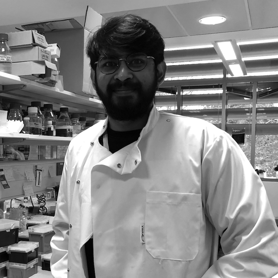 
        SAHIL KAMBOJ
        I am a EUTOPIA co-tutelle doctoral student who’s working on the modulation of integrins a5b1 on the surface of ovarian cancer cells to study its effects on the cancer microenvironment.
        My project is between Ambroise Lambert and Olivier Gallet at Paris Cergy U and the Royle lab in Warwick.
        
